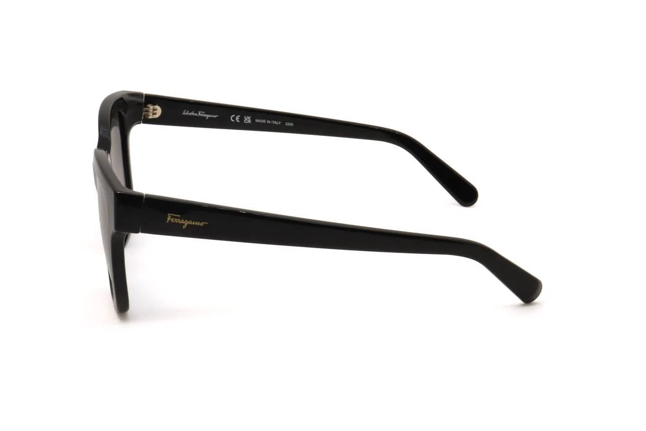 Ferragamo SF1066S Sunglasses - view 4